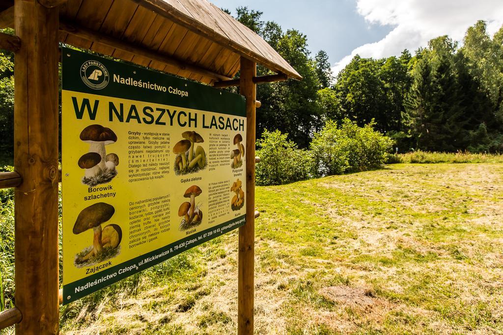 Gospodarstwo Nad Jeziorem Zalom  外观 照片